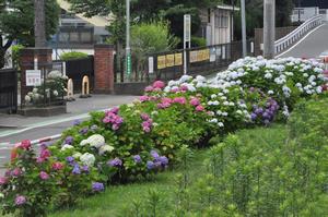 鈴谷小学校1
