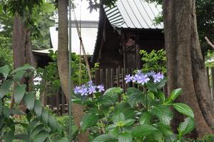 上町氷川神社2