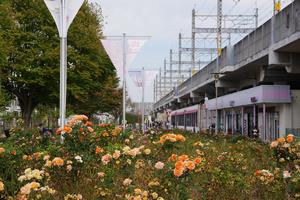 駅前公園3