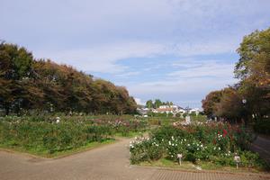 与野公園2