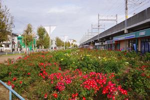 駅前公園1