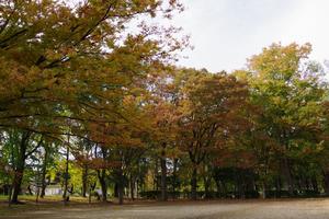 与野公園紅葉3