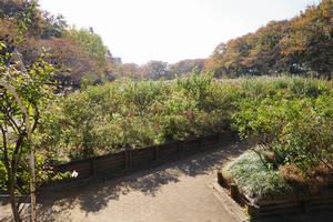 与野公園4