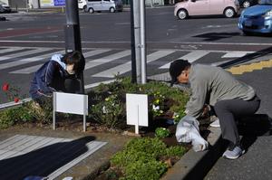 花deS4タワー2