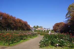 与野公園2