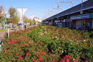 駅前公園1