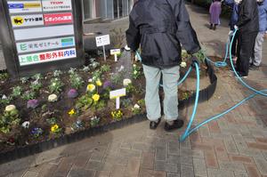 花deびゅうサイト5