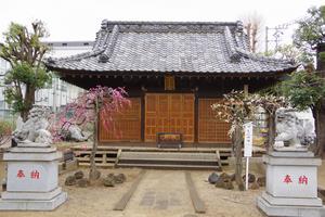鈴谷天神社梅1