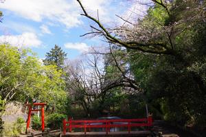 与野公園1