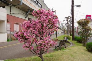与野本町駅東口