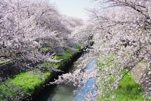 与野公園