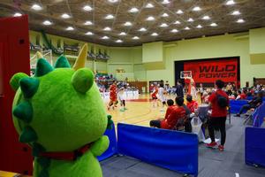 ブロンコス