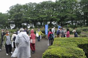 与野公園清掃7