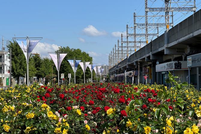 駅前公園1