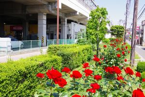 駅東口6