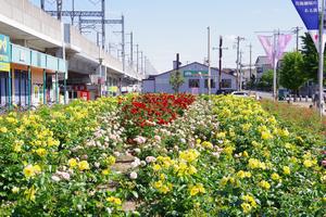 駅前公園6