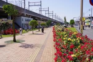 駅前公園1