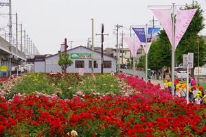 駅前公園3