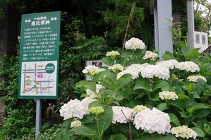 一山神社1