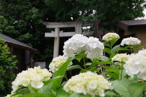 一山神社2