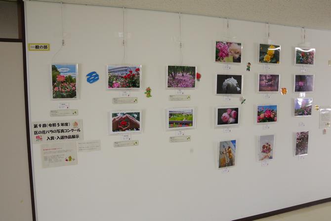 写真コンクール9