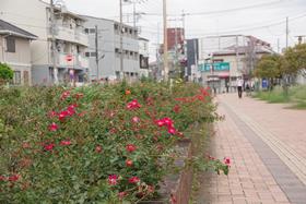 駅前公園4