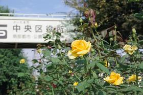 区役所周辺3