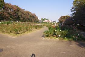 与野公園1