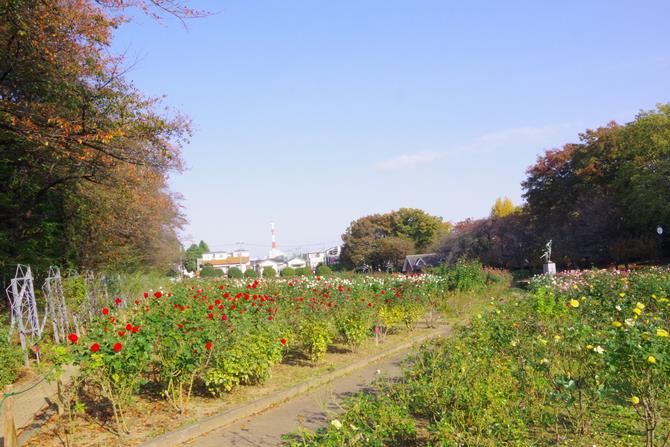 与野公園2