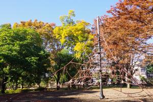 与野公園28