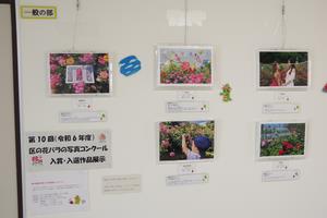 バラコン写真展示4