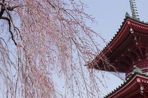 圓乘院4