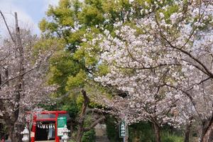 与野公園5
