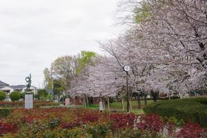 与野公園6