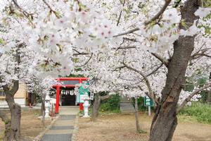 与野公園11
