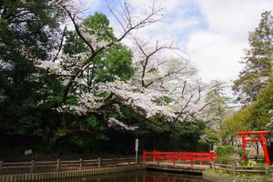 与野公園15