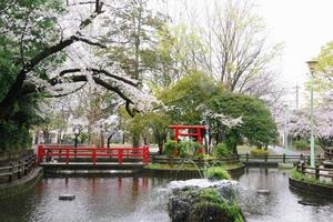 与野公園13