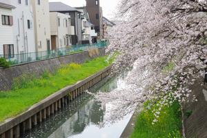 鴻沼川南与野駅付近1
