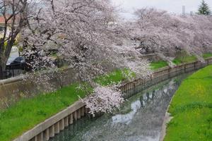 鴻沼川南与野駅付近2