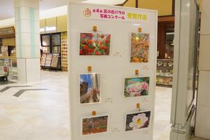 イオン2