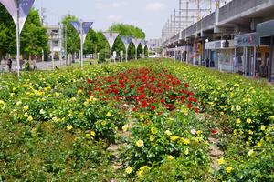 駅前公園1