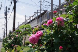 駅東口1東口