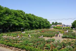 与野公園1