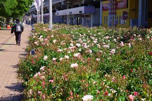 駅前公園2