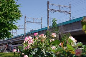 駅前公園7