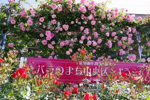 駅前公園10