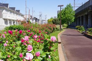 駅前公園11