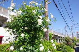 駅東口2