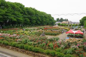 与野公園1