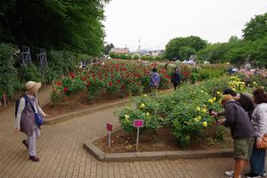 与野公園2